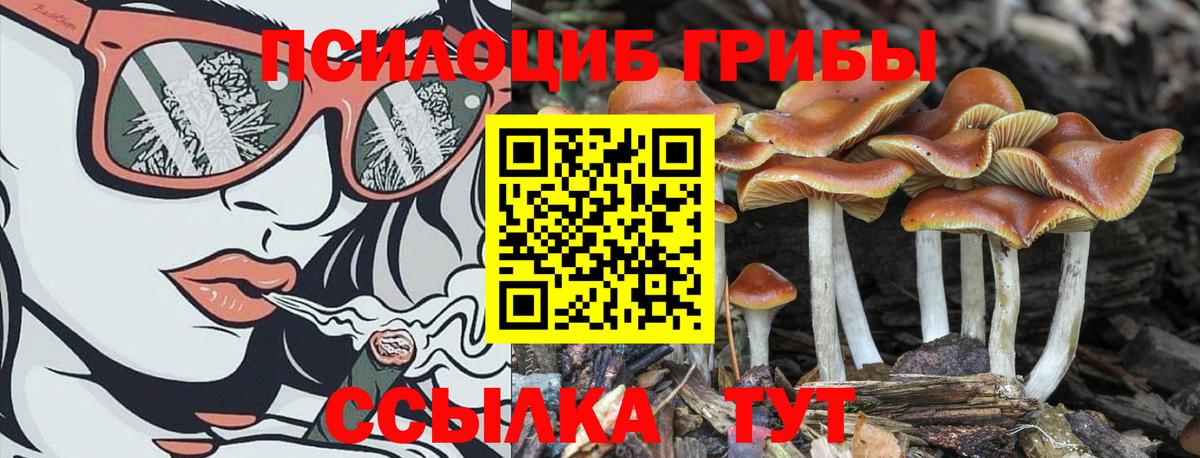 А ПВП СК   Вход с VPN  Родники  Меф МЯУ МЯУ кристаллы  Купить наркотики  ГАШИШ  Марихуана 