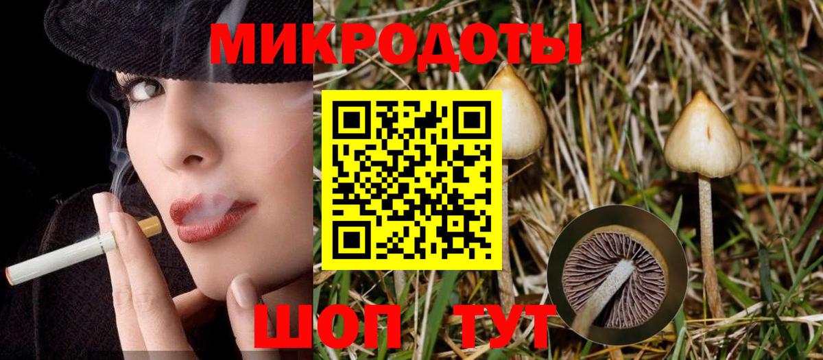 Галлюциногенные грибы мухоморы Родники